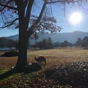 Meet your Posher, Sam